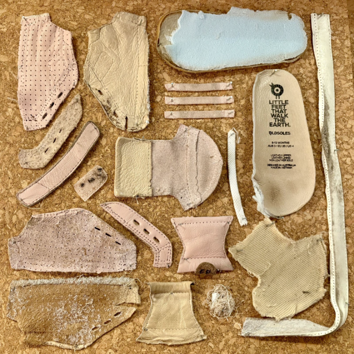 Deconstructed shoe laid out on brown board.